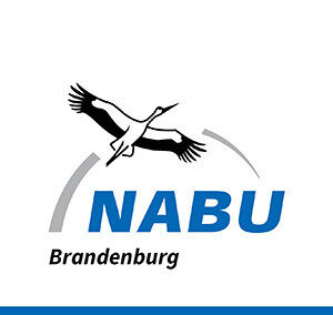 Nabu Logo